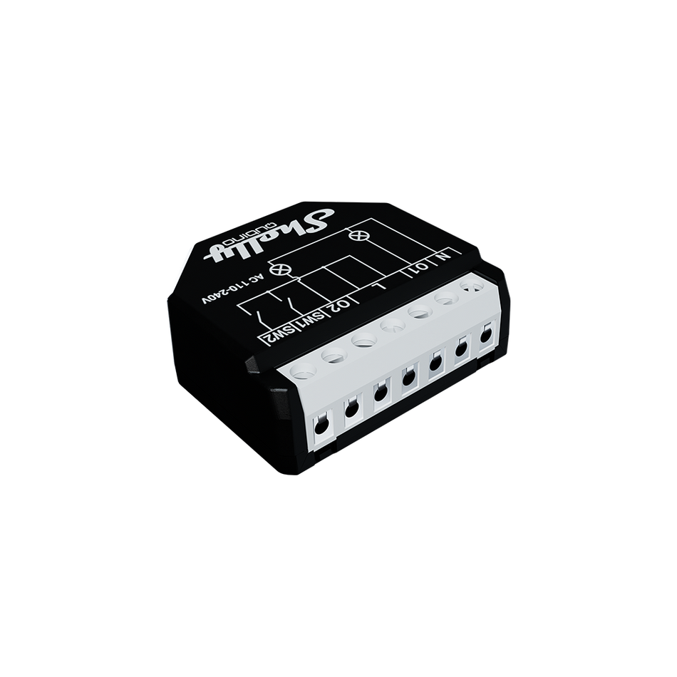 Shelly Qubino Wave 2PM