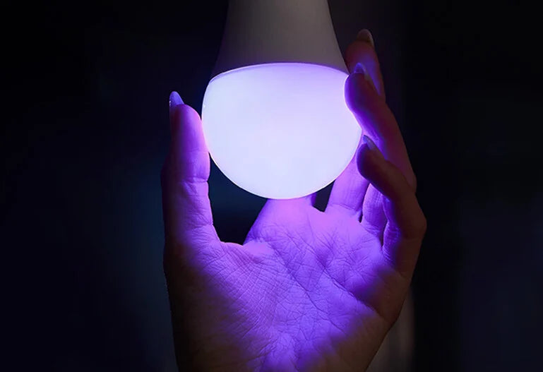 4 dispositivi Shelly essenziali per iniziare la tua smart home
